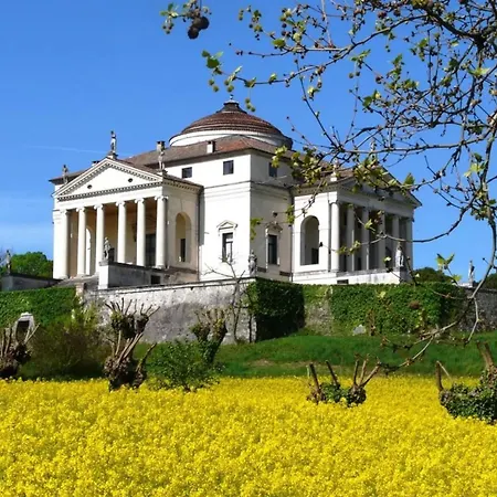 Vaca Mora Vicenza